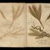 Henry Armitt Brown travel album
