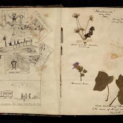Henry Armitt Brown travel album