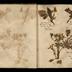 Henry Armitt Brown travel album