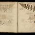 Henry Armitt Brown travel album
