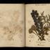 Henry Armitt Brown travel album