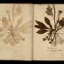 Henry Armitt Brown travel album