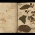 Henry Armitt Brown travel album