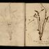 Henry Armitt Brown travel album