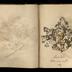 Henry Armitt Brown travel album