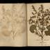 Henry Armitt Brown travel album