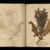 Henry Armitt Brown travel album