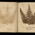Henry Armitt Brown travel album