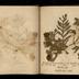 Henry Armitt Brown travel album