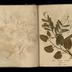 Henry Armitt Brown travel album