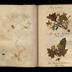 Henry Armitt Brown travel album