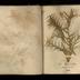 Henry Armitt Brown travel album