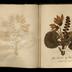 Henry Armitt Brown travel album