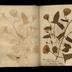 Henry Armitt Brown travel album