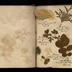 Henry Armitt Brown travel album