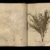 Henry Armitt Brown travel album