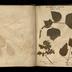 Henry Armitt Brown travel album