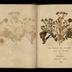 Henry Armitt Brown travel album