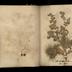Henry Armitt Brown travel album