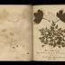 Henry Armitt Brown travel album
