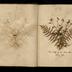 Henry Armitt Brown travel album