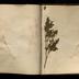 Henry Armitt Brown travel album