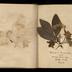 Henry Armitt Brown travel album