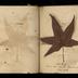 Henry Armitt Brown travel album