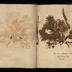 Henry Armitt Brown travel album