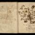 Henry Armitt Brown travel album