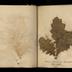 Henry Armitt Brown travel album