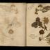 Henry Armitt Brown travel album