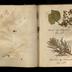 Henry Armitt Brown travel album