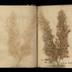 Henry Armitt Brown travel album