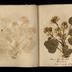 Henry Armitt Brown travel album