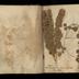 Henry Armitt Brown travel album