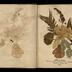 Henry Armitt Brown travel album
