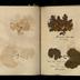 Henry Armitt Brown travel album