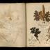 Henry Armitt Brown travel album