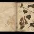Henry Armitt Brown travel album