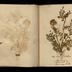 Henry Armitt Brown travel album