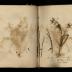 Henry Armitt Brown travel album