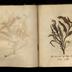 Henry Armitt Brown travel album