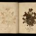 Henry Armitt Brown travel album