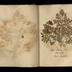 Henry Armitt Brown travel album