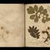 Henry Armitt Brown travel album
