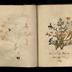 Henry Armitt Brown travel album