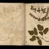 Henry Armitt Brown travel album