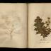 Henry Armitt Brown travel album