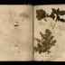 Henry Armitt Brown travel album